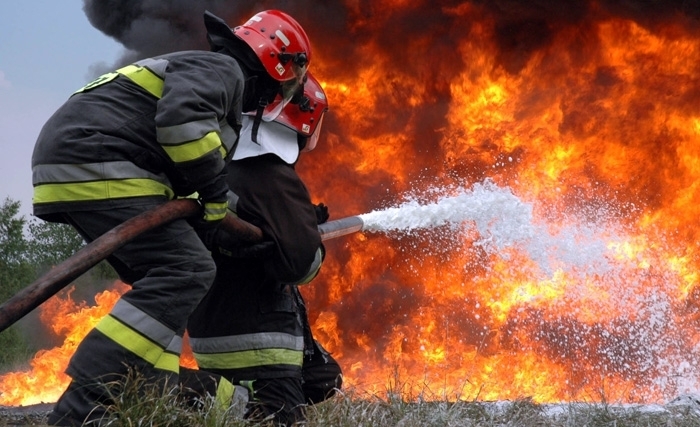 أكثر من 40 حريق في المناطق الغابية في ولاية باجة والقبض على 6 أشخاص يرجّح ارتكابهم جريمة الحرق