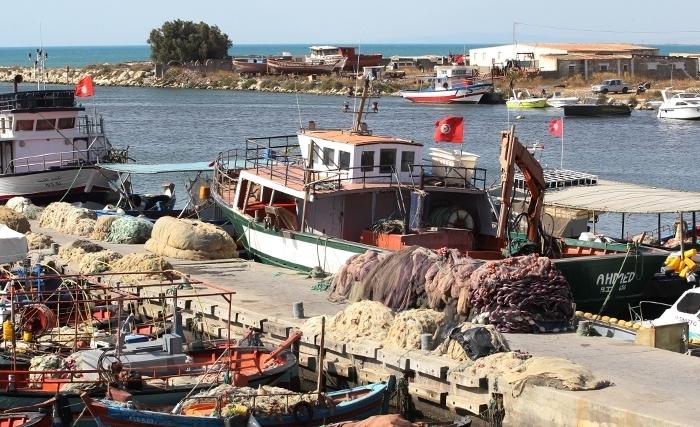 نائب رئيس الاتحاد التونسي للفلاحة والصيد البحري: المشـاكل عـديـدة والــحلـول ممـكـنـة 