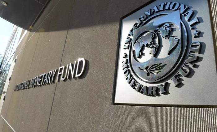 محمد الهادي زعيّم: تونس وصندوق النقد الدولي