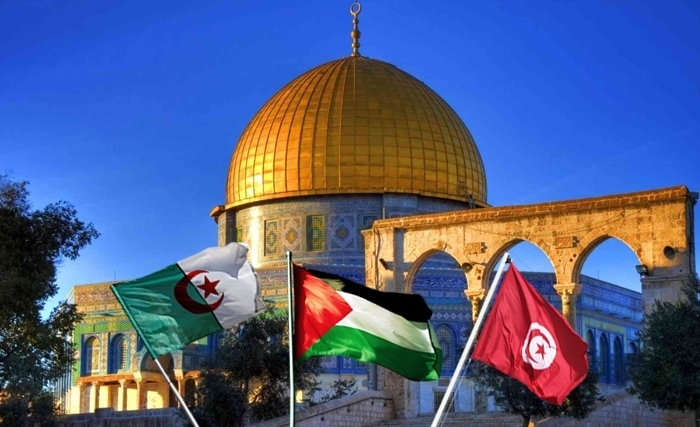 راقية معلى فتيني - فلسطين : الواجب ينادي تونس والجزائر 