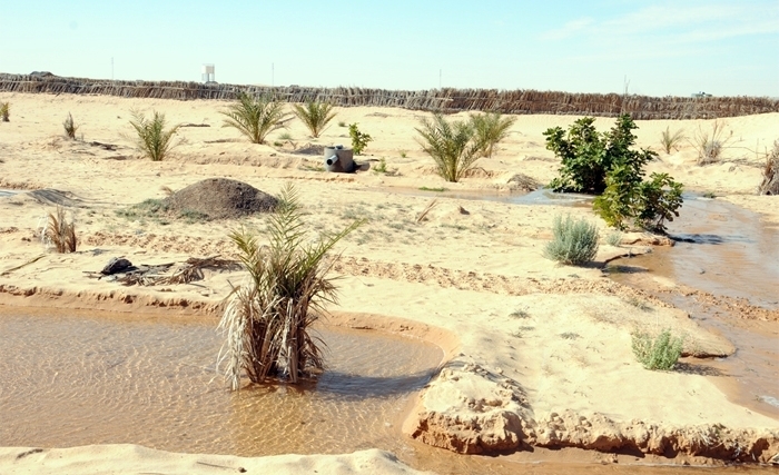 بعد نجاح مشروع رجيم معتوق، مشروع جديد ضخم في قلب الصحراء التونسية