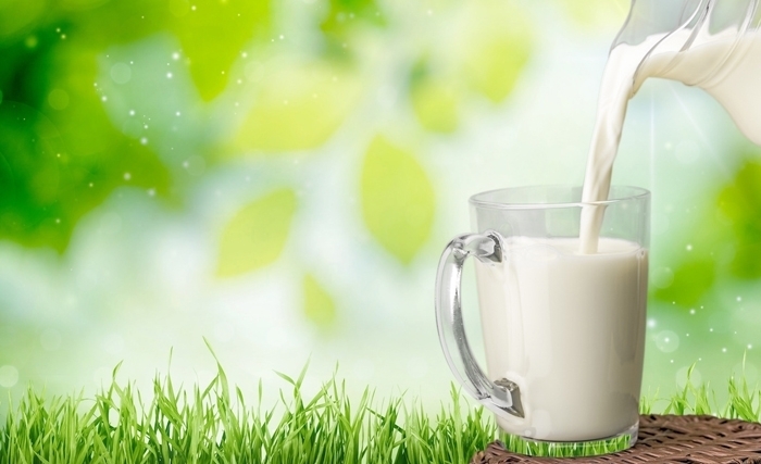 الإبقاء على سعر الحليب بالتفصيل والزيادة في سعر الحليب الطازج الموجه إلى مراكز التجميع 