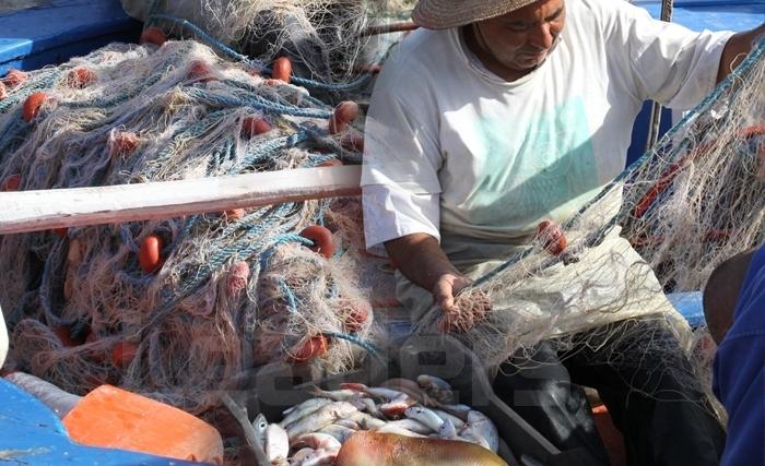 ما سبب إرتفاع أسعار الأسماك ومنتوجات البحر؟