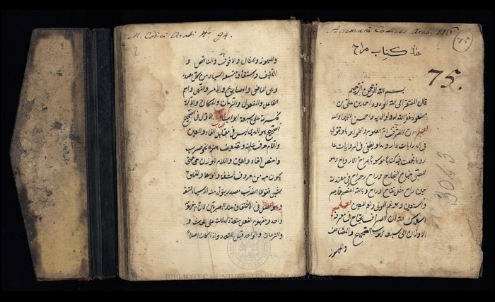  عز الدّين عناية: المخطوطات العربية فــي إيـطاليا