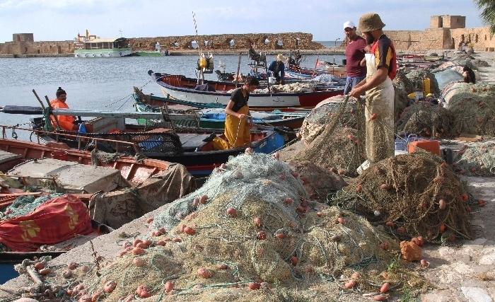 نموّ صادرات الصيد البحري التونسية بـ 31.8% إلى موفّى أكتوبر الماضي 
