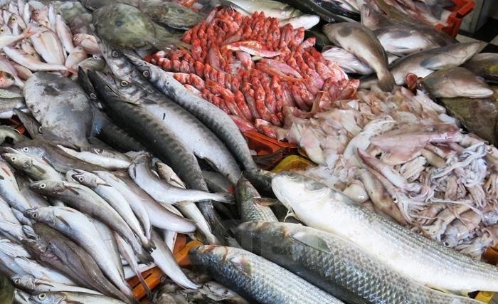 الصادرات التونسية من منتجات الصيد البحري تسجّل تطوّرا من حيث الحجم والقيمة 
