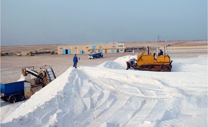  إنهاء لزمة استغلال الملح التونسي بقرار من يوسف الشاهد