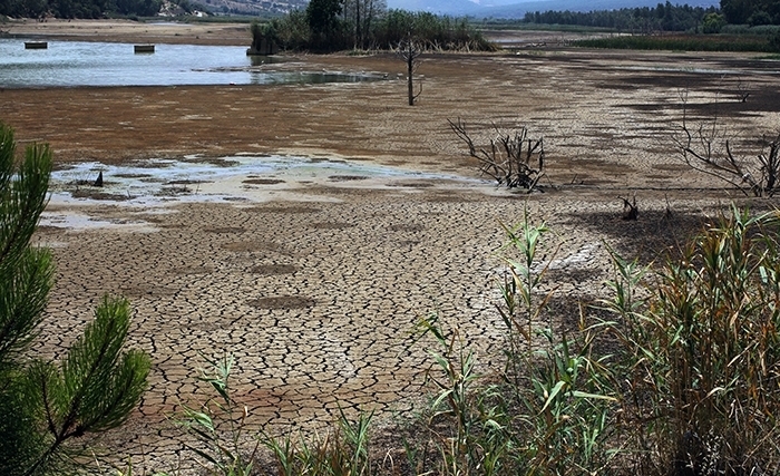 التغيرات المناخية وندرة المياه وتأثيرهما على الأمن الغذائي