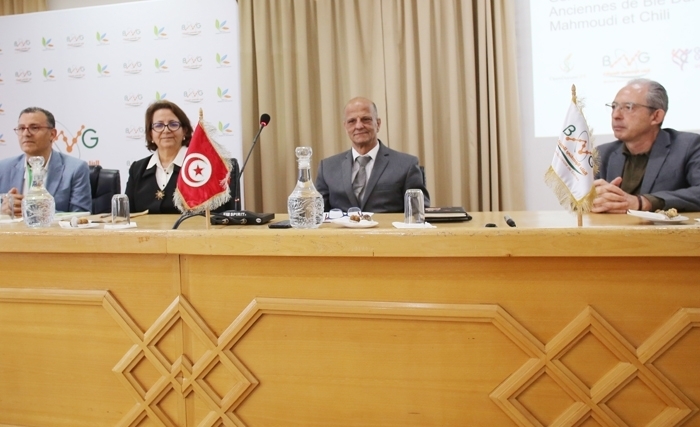 باحثون تونسيون يكشفون عن التسلسل الجيني الكامل لصنفين قديمين من القمح الصلب: محمودي وشيلي 