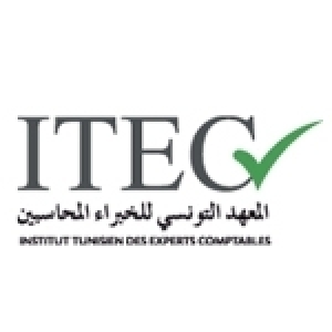 تمكين الشركات من إعادة تقييم عقاراتها حسب قيمتها الحقيقية، محور ورشة عمل ينظمها المعهد التونسي للخبراء المحاسبين