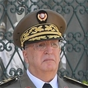 رئيس الجمهورية قيس سعيّد يتولى ترقية كل من أميري اللواء صالح بن عبد السلام والأمجد الحمامي إلى رتبة فريق(فيديو)