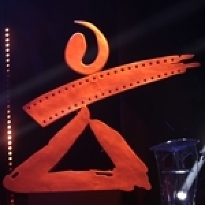 حفل اختتام الدورة السادسة والثلاثين لمهرجان قرطاج السينمائي (ألبوم الصور)