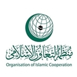 دول منظمة المؤتمر الإسلامي ووحدة دولة الصومال: نورالدين المازني يستذكر أول زيارة سنة 1991