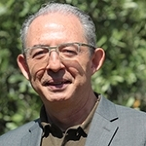 باحثون تونسيون يكشفون عن التسلسل الجيني الكامل لصنفين قديمين من القمح الصلب: محمودي وشيلي (ألبوم صور)