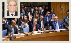 محمد إبراهيم الحصايري: في خطورة قرار مجلس الأمن رقم 2803 